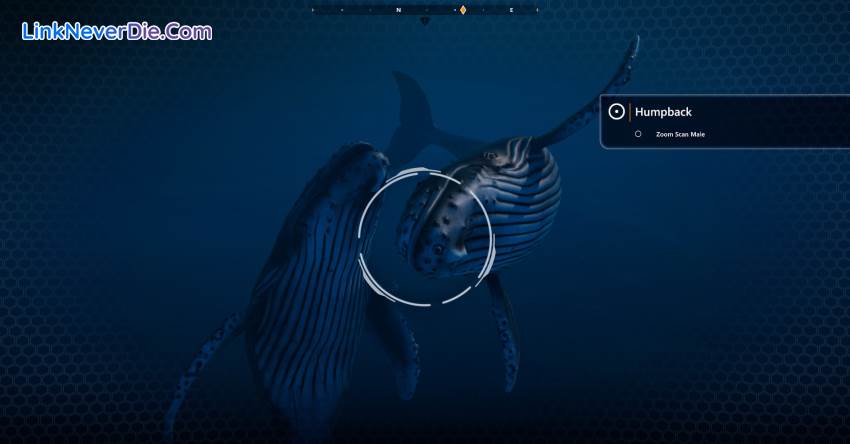 Hình ảnh trong game Beyond Blue (screenshot)