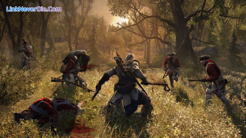 Hình ảnh trong game Assassin's Creed 3 (screenshot)