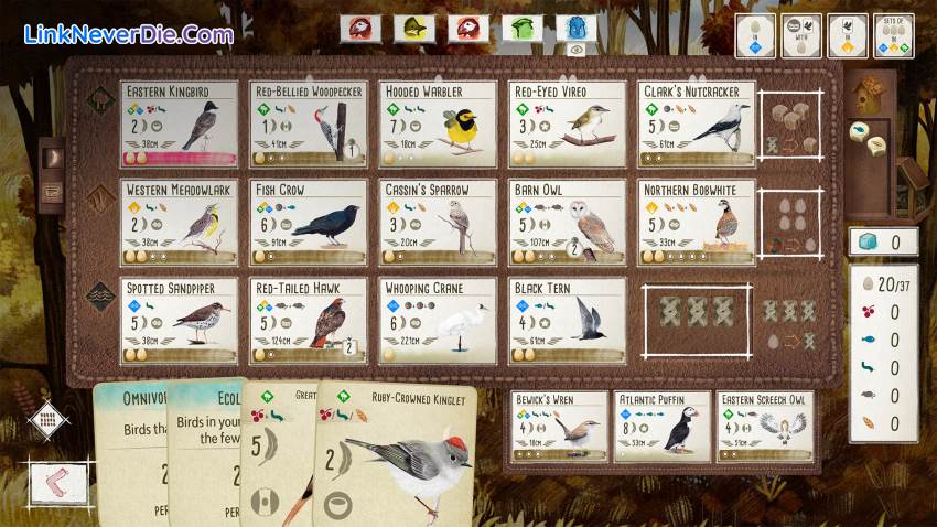 Hình ảnh trong game Wingspan (screenshot)