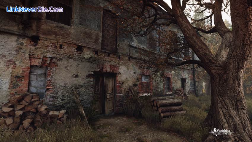 Hình ảnh trong game The Vanishing of Ethan Carter (screenshot)