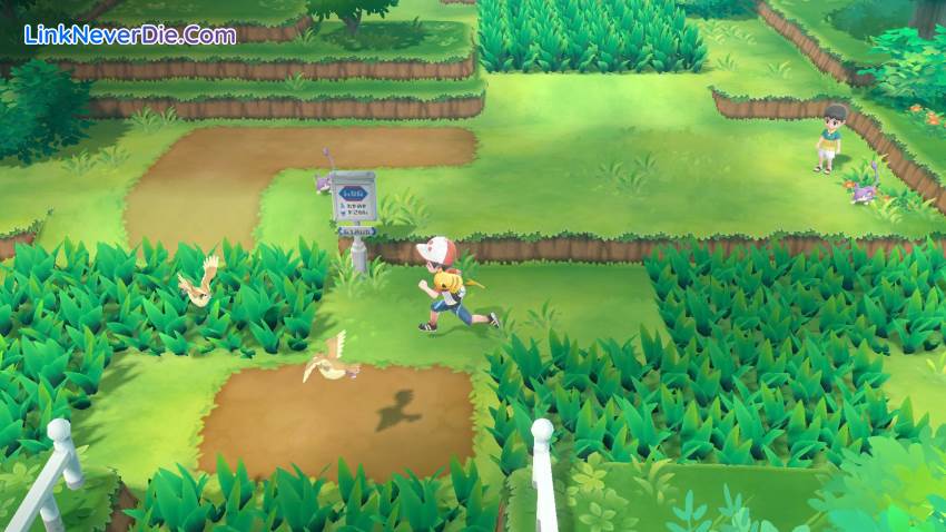 Hình ảnh trong game Pokemon: Let’s Go, Pikachu and Eevee! (screenshot)