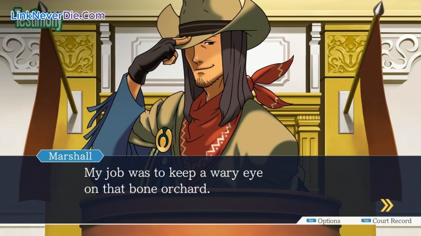 Hình ảnh trong game Phoenix Wright: Ace Attorney Trilogy (screenshot)