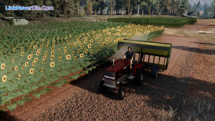 Hình ảnh trong game Ranch Simulator (screenshot) Hình ảnh trong game Ranch Simulator (screenshot)