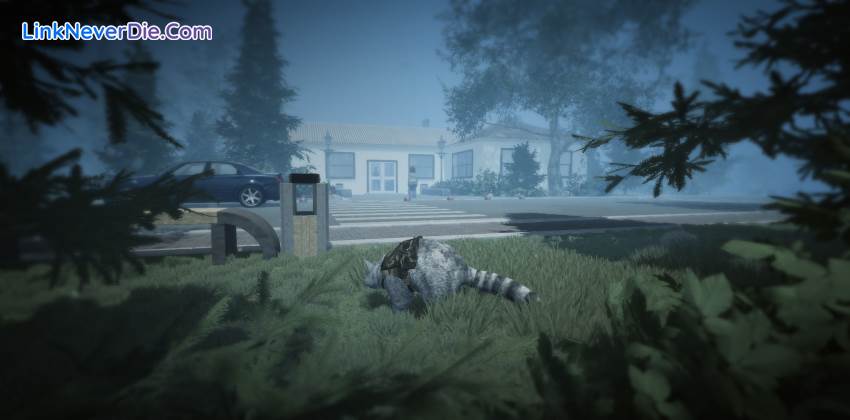 Hình ảnh trong game Wanted Raccoon (screenshot) Hình ảnh trong game Wanted Raccoon (screenshot)