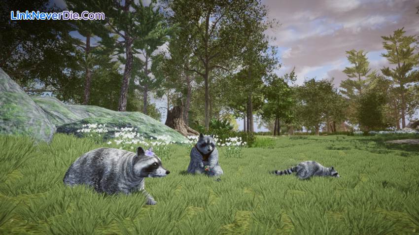 Hình ảnh trong game Wanted Raccoon (screenshot) Hình ảnh trong game Wanted Raccoon (screenshot)