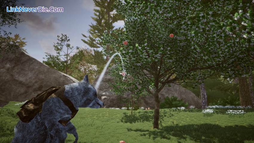 Hình ảnh trong game Wanted Raccoon (screenshot) Hình ảnh trong game Wanted Raccoon (screenshot)