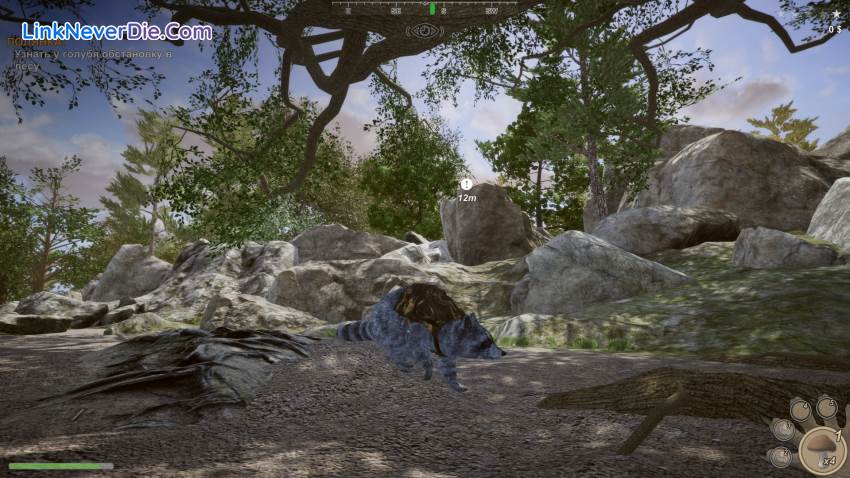 Hình ảnh trong game Wanted Raccoon (screenshot) Hình ảnh trong game Wanted Raccoon (screenshot)