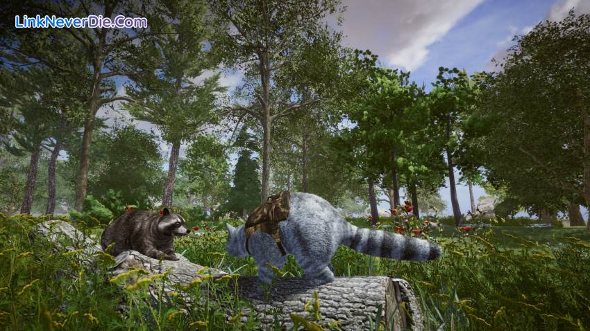 Hình ảnh trong game Wanted Raccoon (screenshot) Hình ảnh trong game Wanted Raccoon (screenshot)