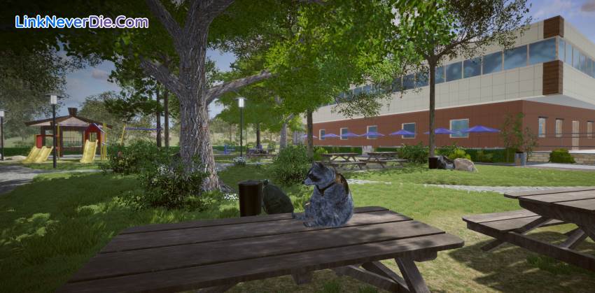 Hình ảnh trong game Wanted Raccoon (screenshot) Hình ảnh trong game Wanted Raccoon (screenshot)