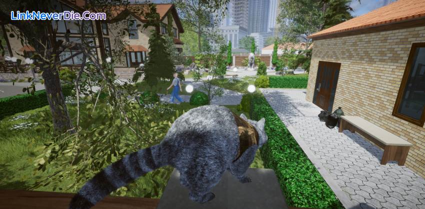 Hình ảnh trong game Wanted Raccoon (screenshot) Hình ảnh trong game Wanted Raccoon (screenshot)