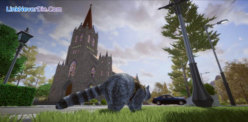 Hình ảnh trong game Wanted Raccoon (screenshot) Hình ảnh trong game Wanted Raccoon (screenshot)