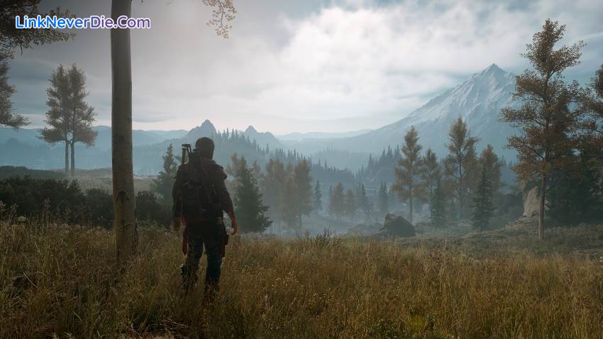 Hình ảnh trong game Days Gone (screenshot)