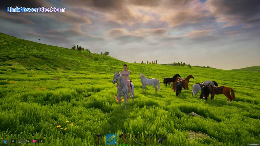 Hình ảnh trong game My Island (screenshot)