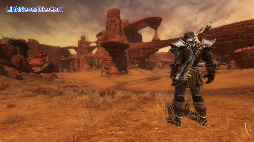 Hình ảnh trong game Kingdoms of Amalur: Reckoning (screenshot)