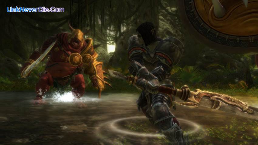 Hình ảnh trong game Kingdoms of Amalur: Reckoning (screenshot)