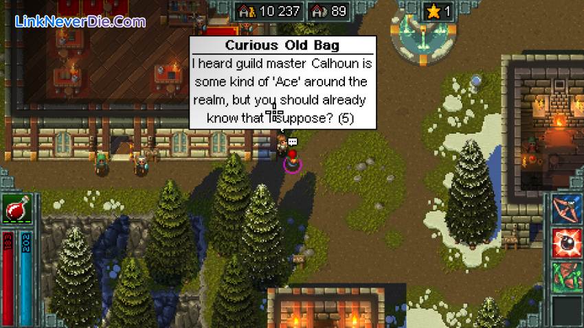 Hình ảnh trong game Heroes of Hammerwatch (screenshot)