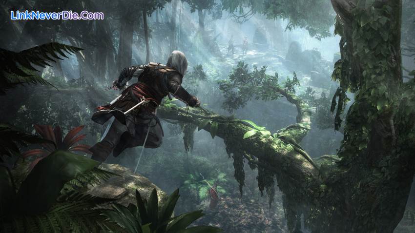 Hình ảnh trong game Assassin's Creed 4: Black Flag (screenshot)