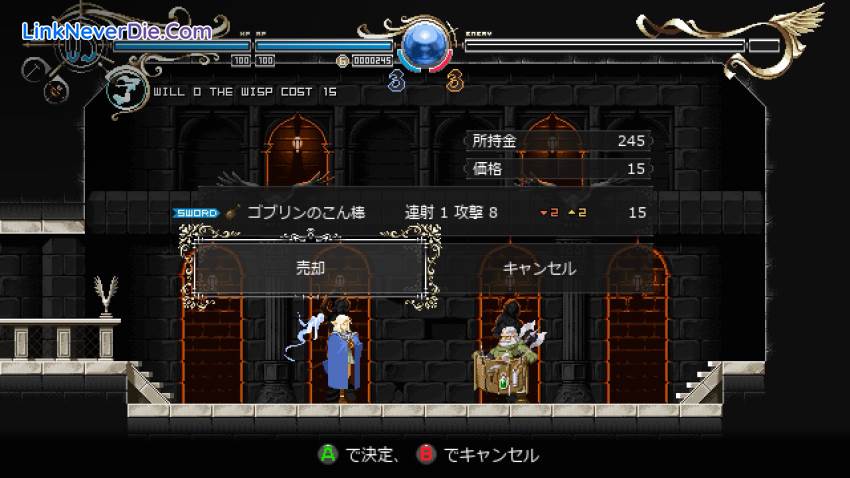 Hình ảnh trong game Record of Lodoss War-Deedlit in Wonder Labyrinth- (screenshot)