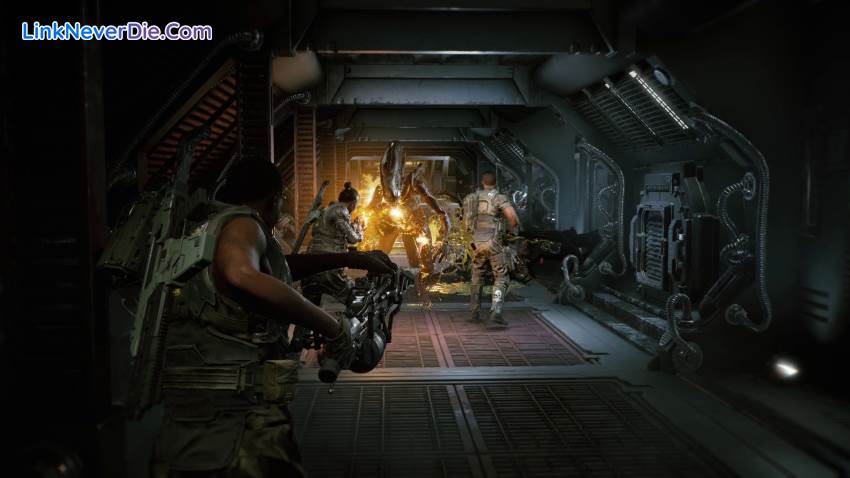 Hình ảnh trong game Aliens: Fireteam Elite (screenshot)