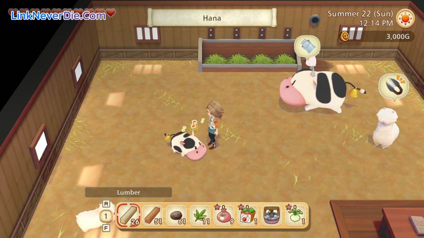 Hình ảnh trong game STORY OF SEASONS: Pioneers of Olive Town (screenshot)