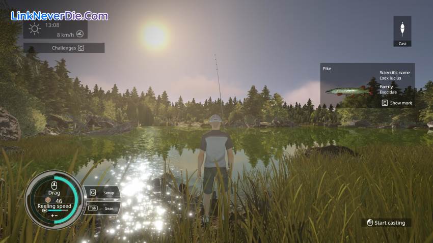 Hình ảnh trong game Pro Fishing Simulator (screenshot)