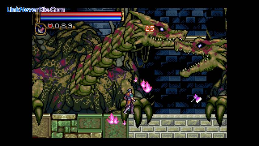 Hình ảnh trong game Castlevania Advance Collection (screenshot) Hình ảnh trong game Castlevania Advance Collection (screenshot)