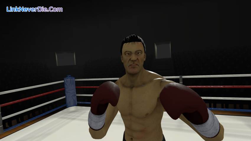 Hình ảnh trong game The Thrill of the Fight (thumbnail)