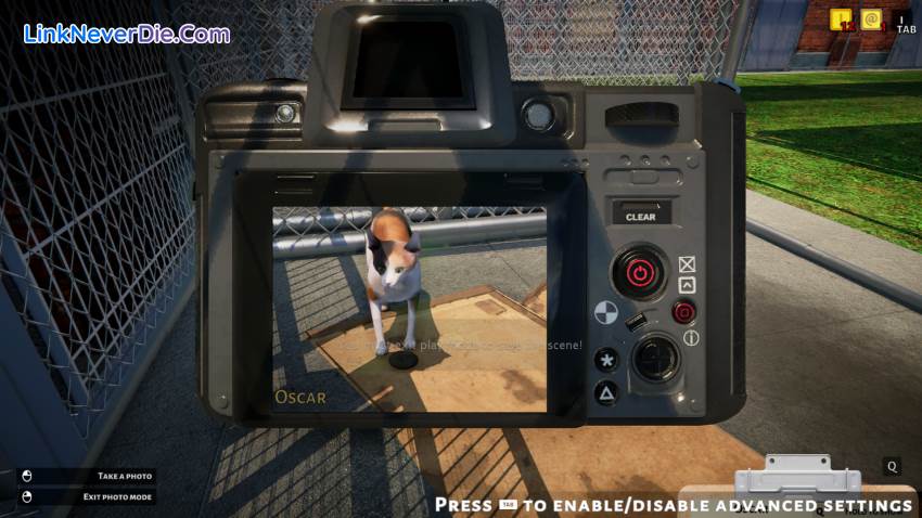 Hình ảnh trong game Animal Shelter (thumbnail)
