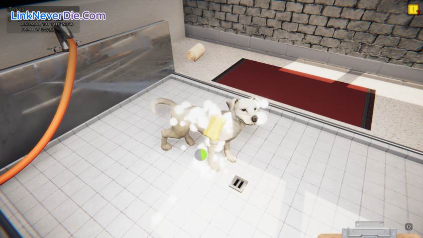 Hình ảnh trong game Animal Shelter (screenshot)