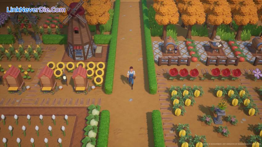 Hình ảnh trong game Coral Island (screenshot)