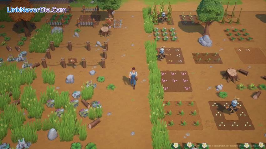 Hình ảnh trong game Coral Island (screenshot)