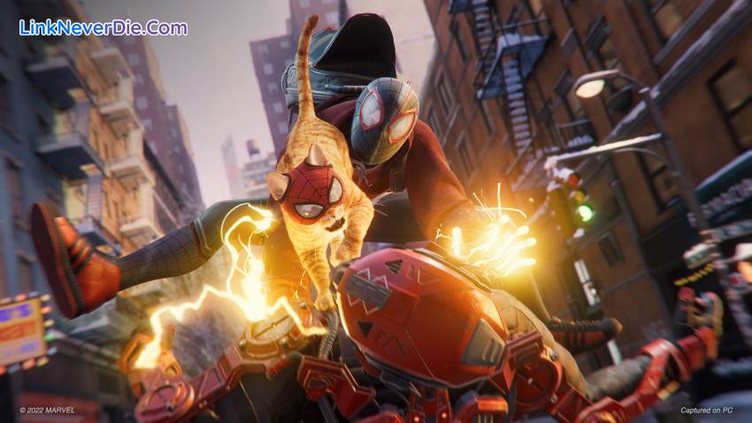 Hình ảnh trong game Marvel’s Spider-Man: Miles Morales (screenshot) Hình ảnh trong game Marvel’s Spider-Man: Miles Morales (screenshot)