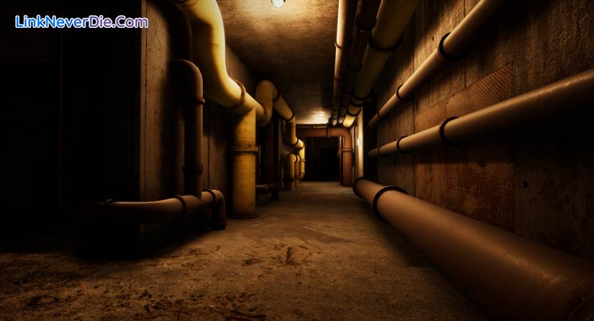 Hình ảnh trong game Escape the Backrooms (screenshot)