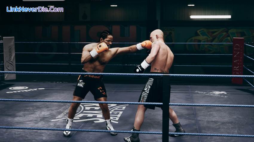 Hình ảnh trong game Undisputed (screenshot) Hình ảnh trong game Undisputed (screenshot)