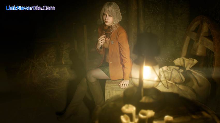 Hình ảnh trong game Resident Evil 4 (screenshot) Hình ảnh trong game Resident Evil 4 (screenshot)