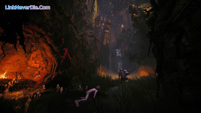 Hình ảnh trong game The Lord of the Rings: Gollum (screenshot)