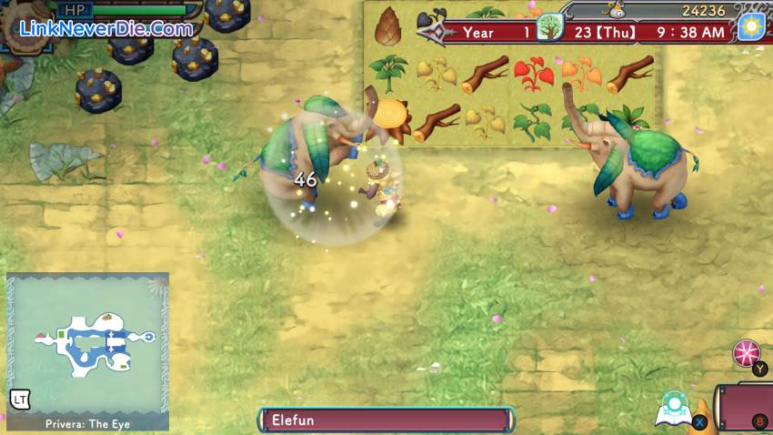 Hình ảnh trong game Rune Factory 3 Special (screenshot) Hình ảnh trong game Rune Factory 3 Special (screenshot)