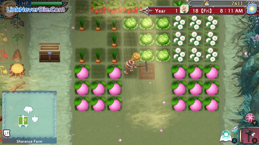 Hình ảnh trong game Rune Factory 3 Special (screenshot)