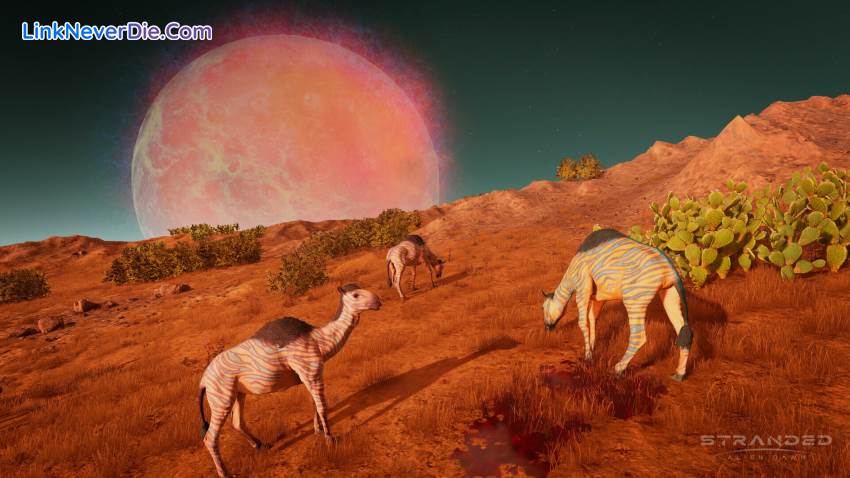 Hình ảnh trong game Stranded: Alien Dawn (screenshot) Hình ảnh trong game Stranded: Alien Dawn (screenshot)