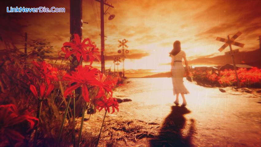 Hình ảnh trong game Hollow Cocoon (screenshot) Hình ảnh trong game Hollow Cocoon (screenshot)