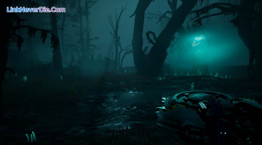 Hình ảnh trong game Pacific Drive (screenshot) Hình ảnh trong game Pacific Drive (screenshot)