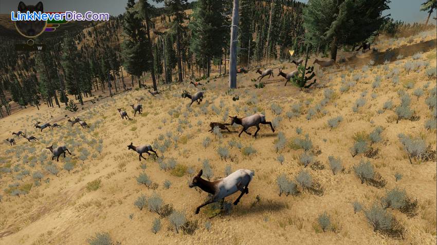 Hình ảnh trong game WolfQuest: Anniversary Edition (screenshot)