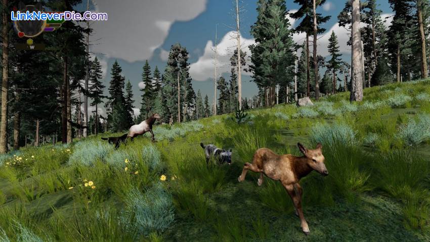 Hình ảnh trong game WolfQuest: Anniversary Edition (screenshot)