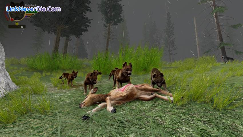 Hình ảnh trong game WolfQuest: Anniversary Edition (screenshot)