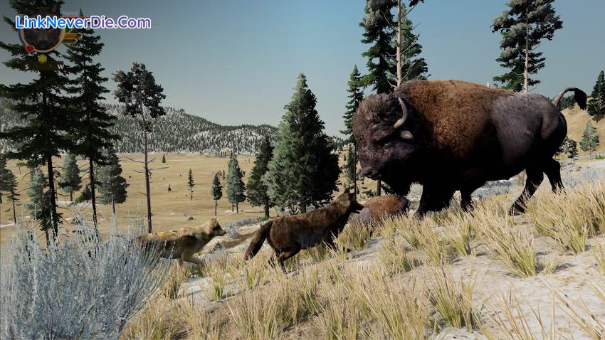 Hình ảnh trong game WolfQuest: Anniversary Edition (screenshot) Hình ảnh trong game WolfQuest: Anniversary Edition (screenshot)
