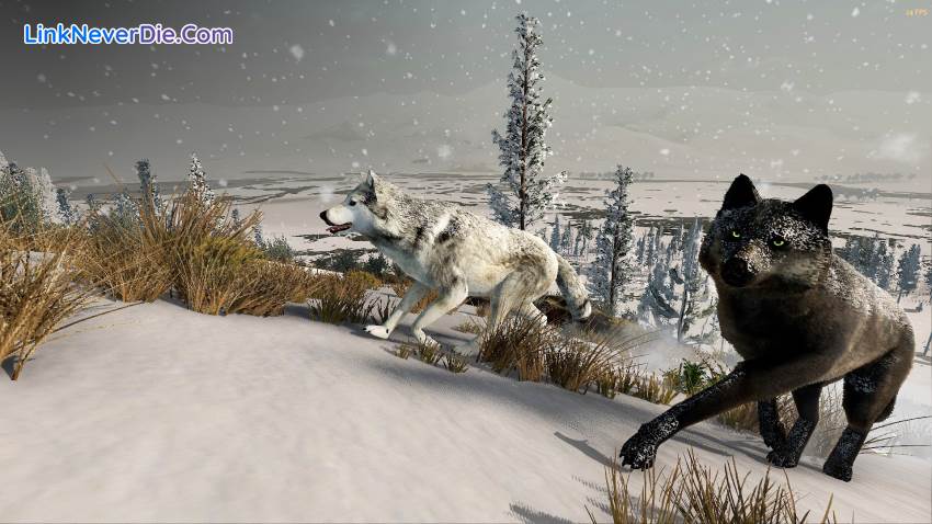 Hình ảnh trong game WolfQuest: Anniversary Edition (screenshot)