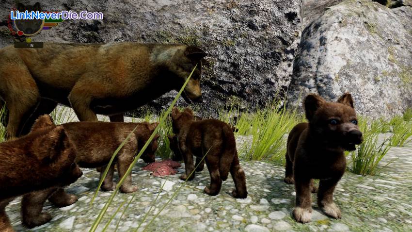 Hình ảnh trong game WolfQuest: Anniversary Edition (screenshot)