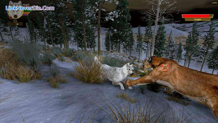 Hình ảnh trong game WolfQuest: Anniversary Edition (screenshot) Hình ảnh trong game WolfQuest: Anniversary Edition (screenshot)