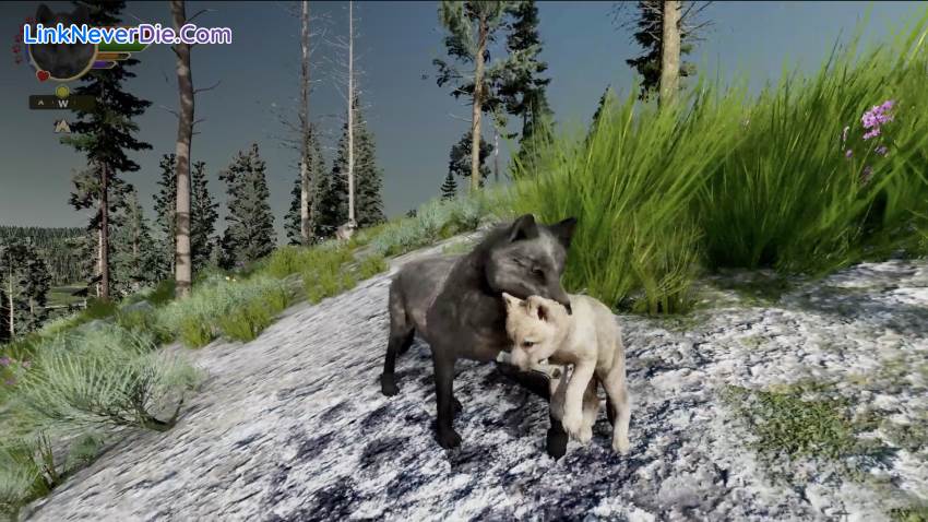 Hình ảnh trong game WolfQuest: Anniversary Edition (screenshot) Hình ảnh trong game WolfQuest: Anniversary Edition (screenshot)