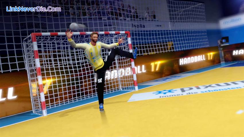 Hình ảnh trong game Handball 17 (screenshot)